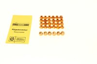 Montagesatz BMW M50/M52 Abgaskrümmer